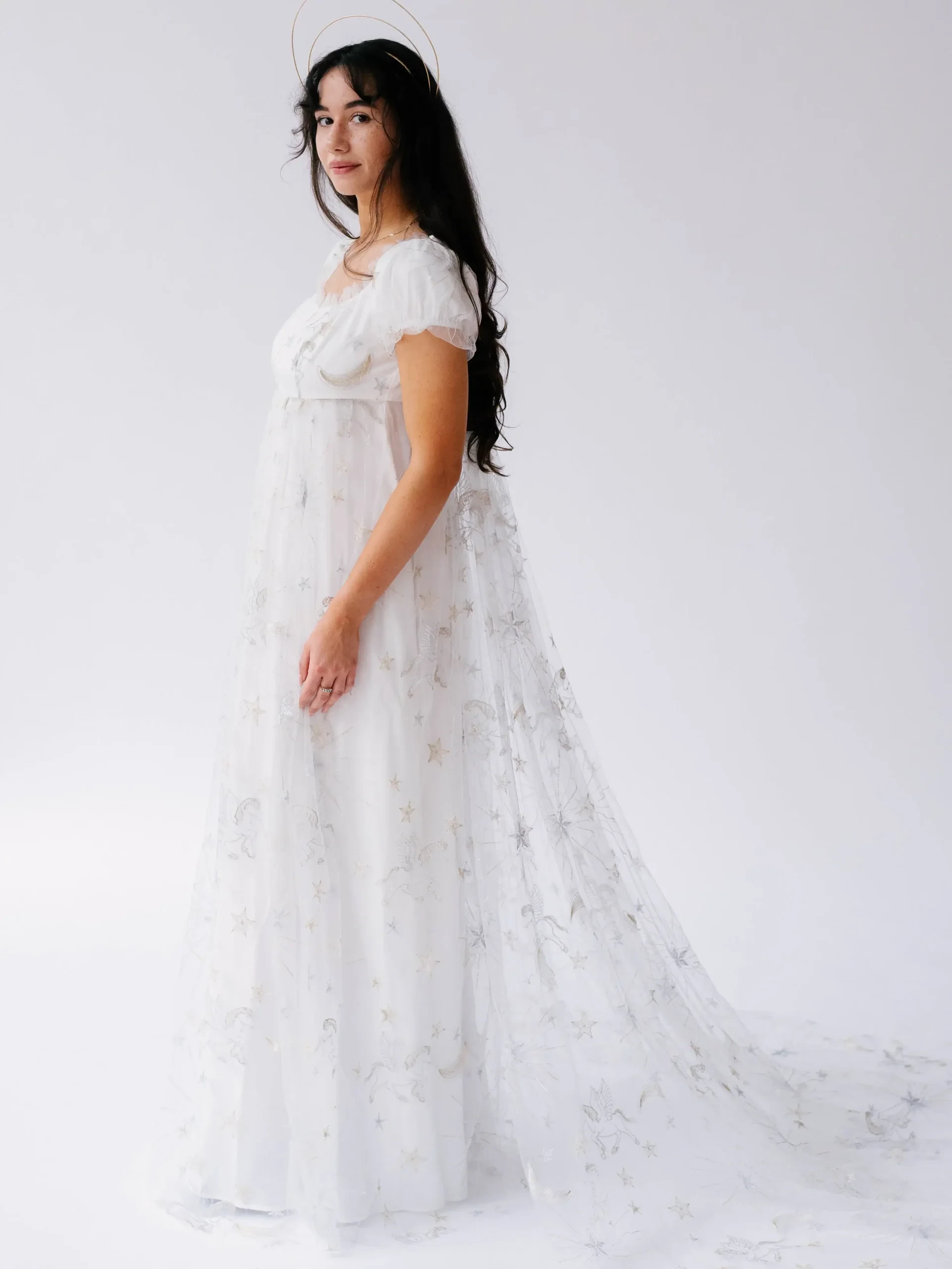 The Celestial Veil Dauphine Lace Gown